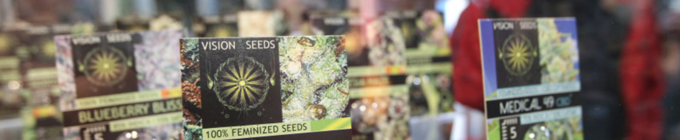 Vision Seeds_1